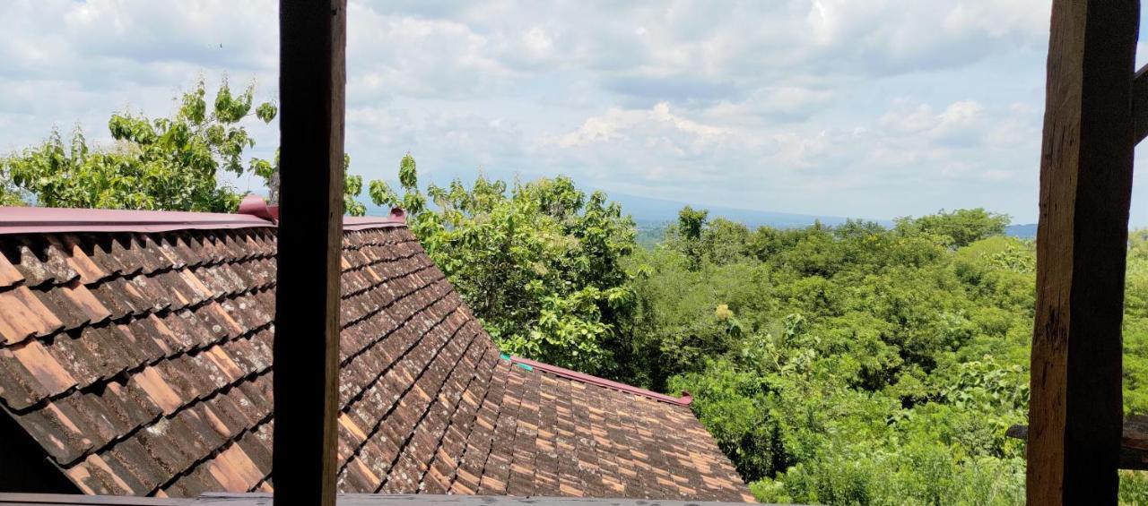 Omah Singo Stay & Resto Yogyakarta Bantul Exteriör bild